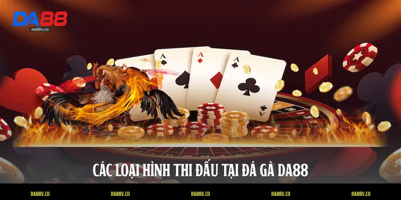 Các loại hình thi đấu tại đá gà DA88