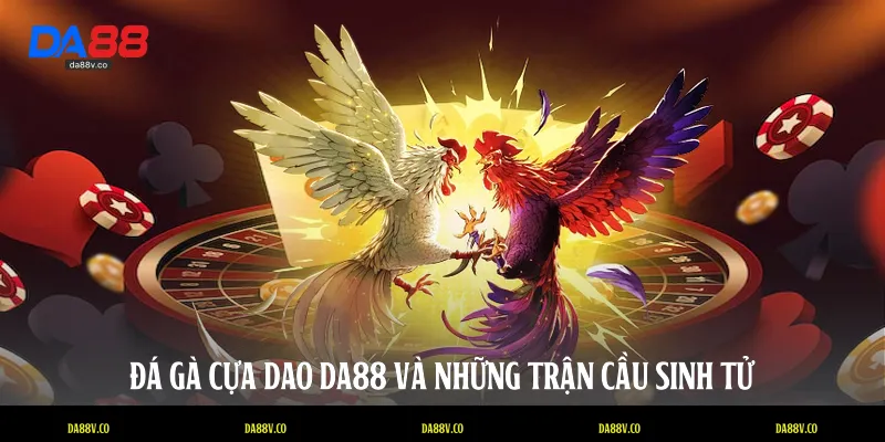 Đá gà cựa dao